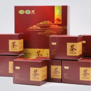 saco de chá fuzhuan hunan anhua chá preto chá de cuidados de saúde