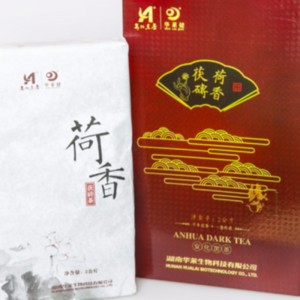 Lótus perfumado chá fuzhuan hunan ahhua chá preto chá de cuidados de saúde